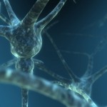Neuron129