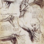 shoulderandneck1 shoulderandneck1