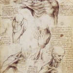 shoulderandneck3 shoulderandneck3