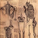skeletons skeletons