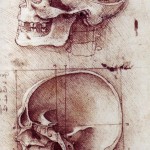 skull1 skull1