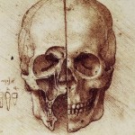 skull2 skull2