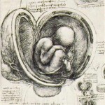 womb womb