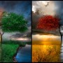 Seasonscape by Alexiuss