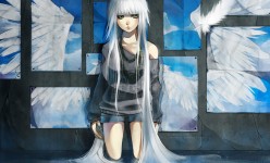 anime_wallpaper_wings