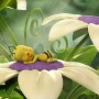 Lazy Bee - 3D Digital Art