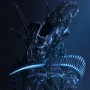 3D Carlson Woon Alien Transformer