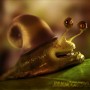 3D Art Juliano Castrol Cartoon Snail