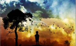 wallpaper-92678